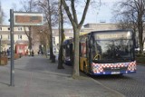 1 listopada w Głogowie. Jak będą kursować autobusy na Wszystkich Świętych?
