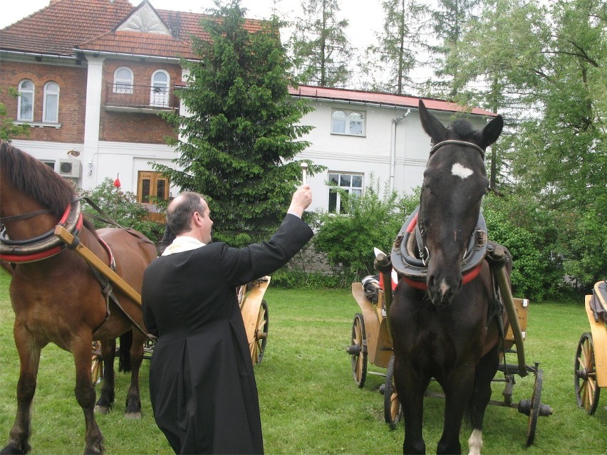 Zakopane: góralskie dorożki są w pełni sprawne [FOTO]