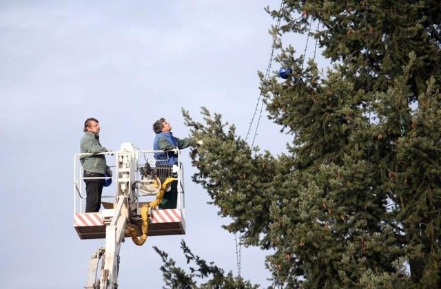 Za chwilę choinka będzie gotowa... Tarnobrzeg, Plac Głowackiego, grudzień 2011