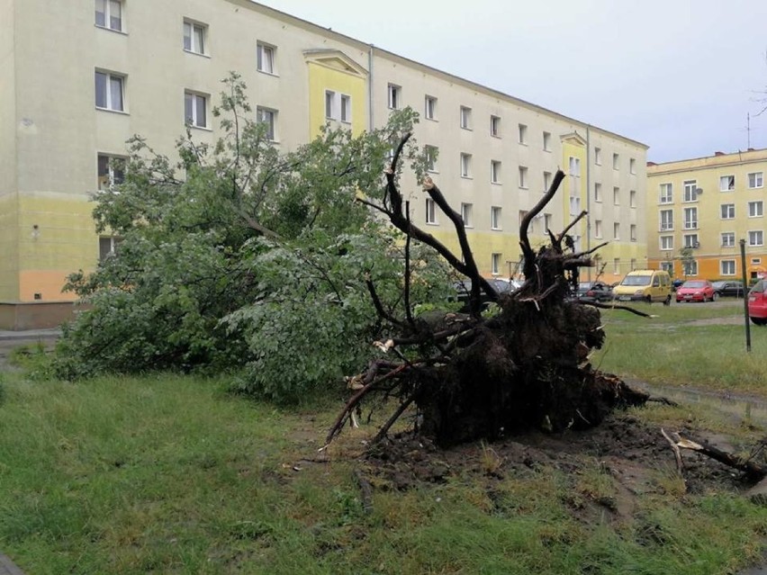 Dzisiaj po południu nad Bydgoszczą przeszła spora burza z...