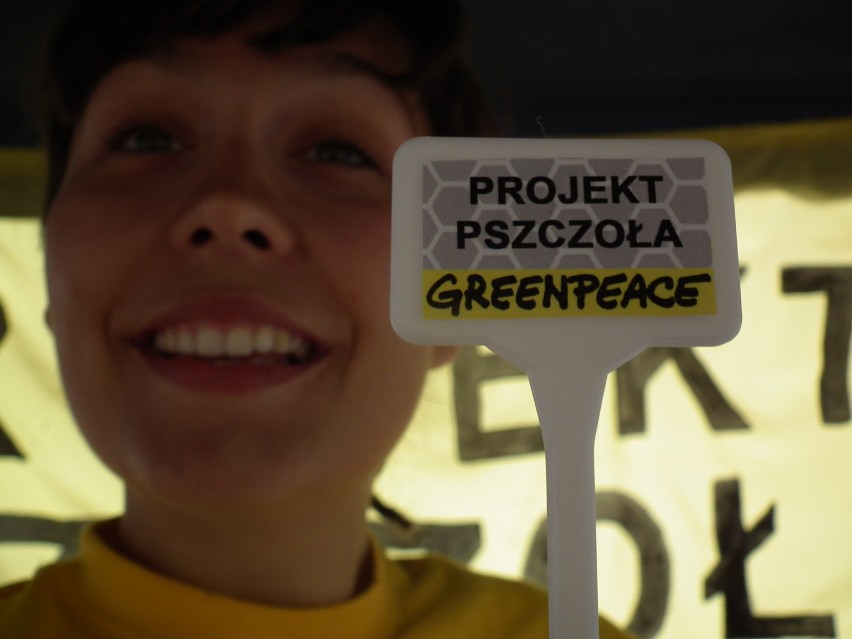 Projekt Pszczoła. Akcja Geen Peace'u w Bydgoszczy