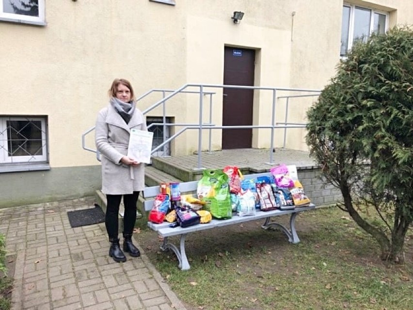 Świąteczne dary dla schroniska dla bezdomnych zwierząt w Radomsku