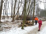 Porządki na wyspie i w skansenie