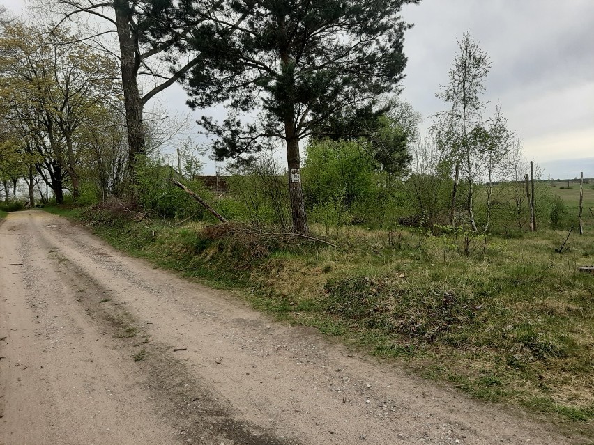 Ktoś niszczy nowe trasy rowerowe koło Szczecinka [zdjęcia]
