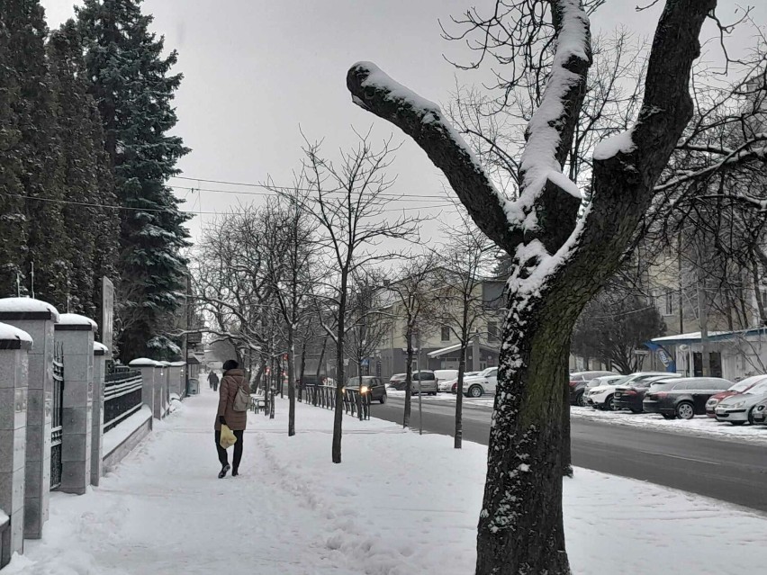Zima w Bełchatowie, styczeń 2024
