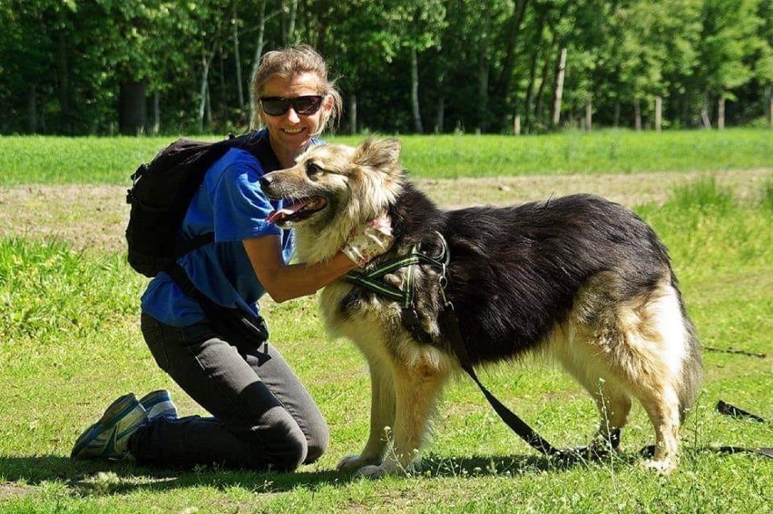 Któż przynajmniej raz nie marzył o tym, aby wolny czas w...