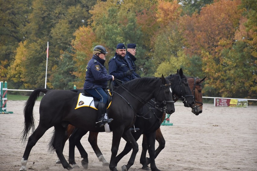 Gniezno: Bieg św. Huberta w Stadzie Ogierów [15.10.2022]