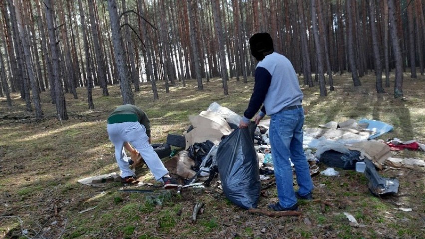 Nadleśnictwo Bolewic. Porzucone śmieci w lesie 