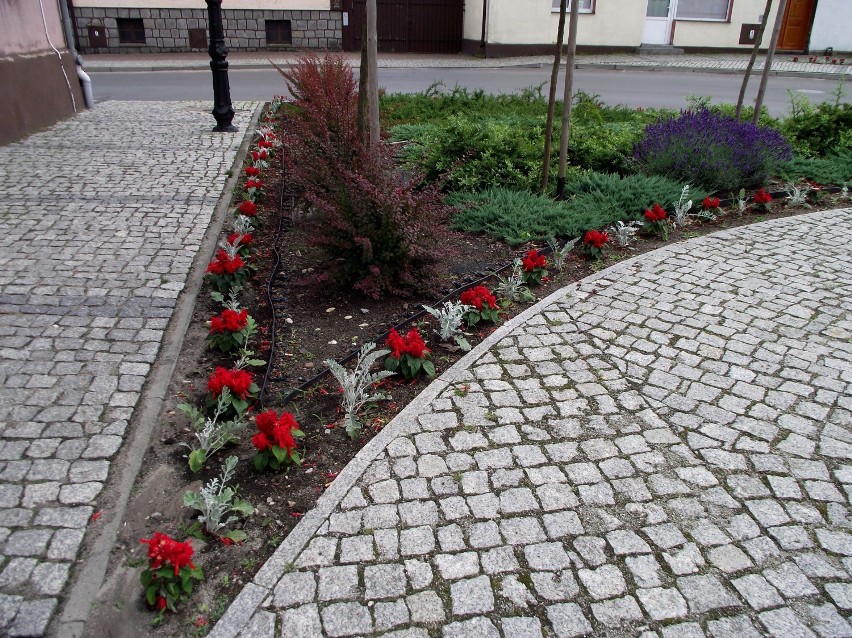 Wakacyjny przewodnik - Zbąszyń - Plac Wolności [zdjęcia]