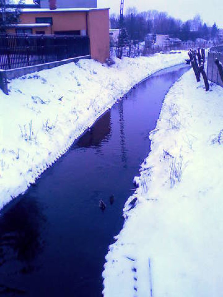 Śniegu dużo, mróz mały. Po rzece od ranka pływają...