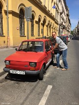 Bielsko-Biała dla Toma Hanksa: aktor dostanie malucha