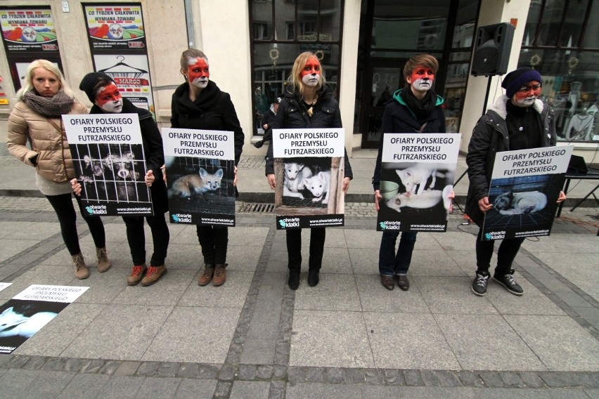 Wrocław: Protestowali przeciw hodowli zwierząt na futra (ZDJĘCIA)