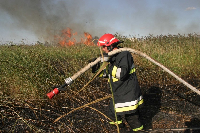 Tylko w tym roku na Mazowszu wybuchło 4,5 tys. pożarów