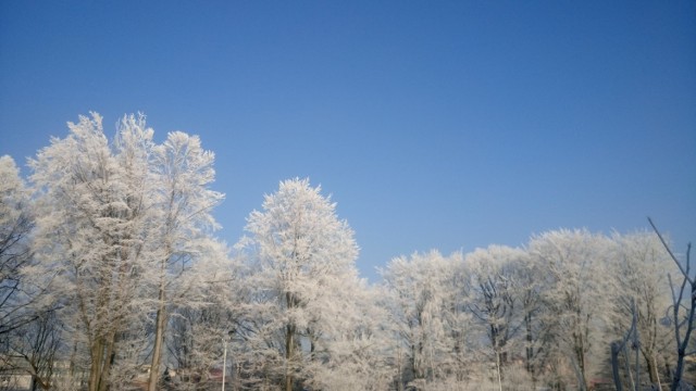 Zima w Jastrzębiu NA ZDJĘCIACH mieszkańców