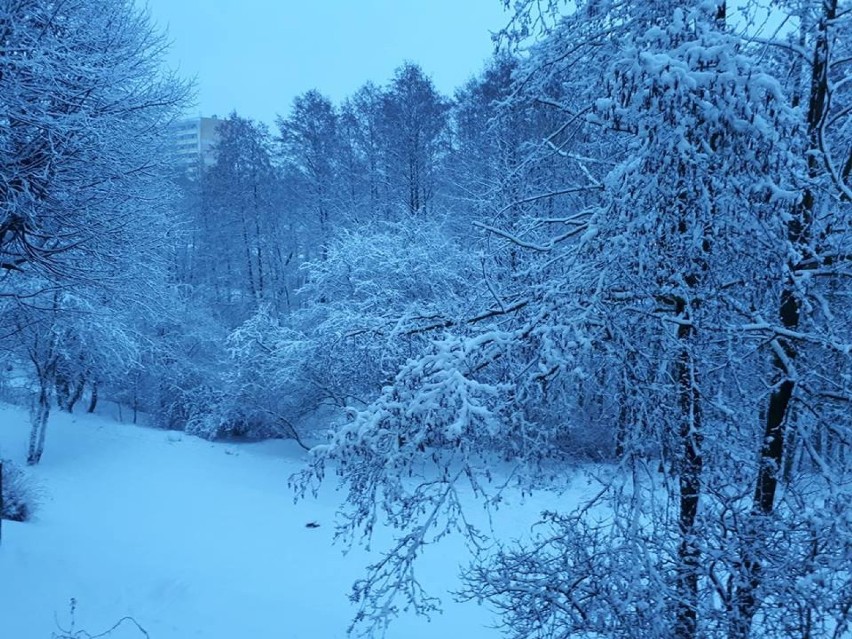 Zima w Jastrzębiu NA ZDJĘCIACH mieszkańców