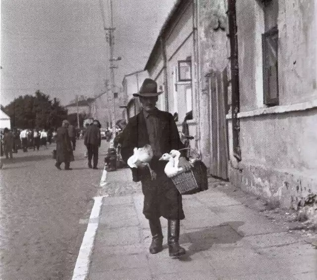 W drodze na jarmark w Opocznie. Fotografia z lat 60 ub. wieku.

Zbiory Edwarda Zagdańskiego.