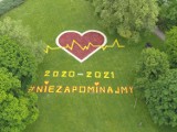 Poznań upamiętnia ofiary pandemii. W parku im. Mickiewicza pojawiło się ogromne serce z tulipanów