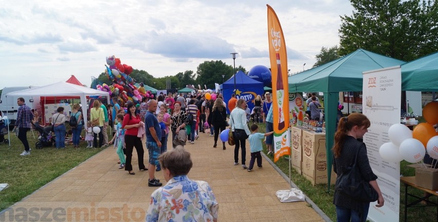 Dni Torunia 2015. Piknik nad Wisłą