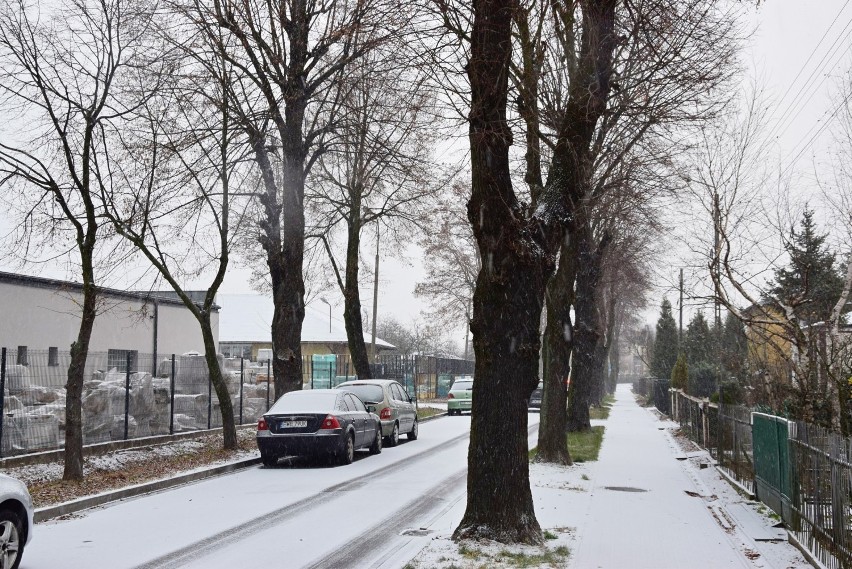 W Wieluniu pada śnieg. Uwaga, dziś może być bardzo ślisko! ZDJĘCIA