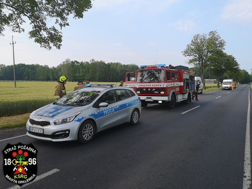 Zderzenie dwóch ciężarówek na trasie Opalenica - Wojnowice