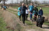 Dogtrekking z Brzegu do Lipek. Na trasie ponad 40 osób! 