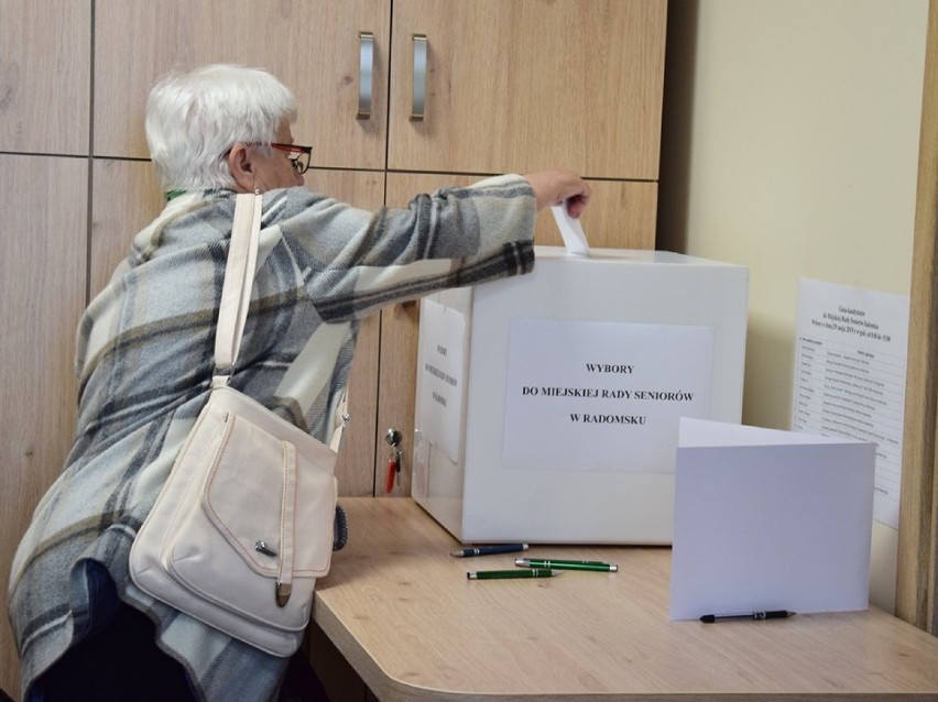 Wybory do Miejskiej Rady Seniorów w Radomsku [ZDJĘCIA]