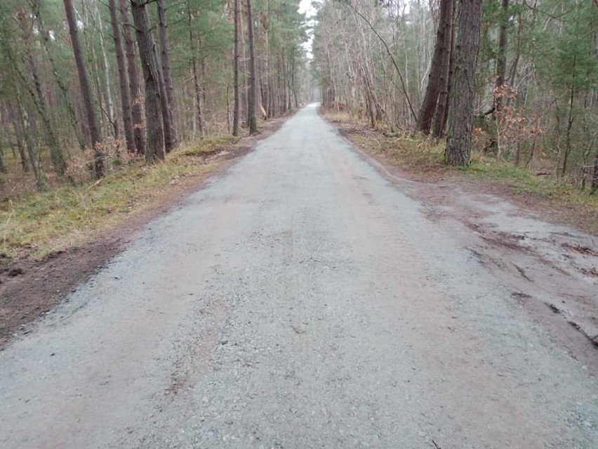 Droga leśna w Mikoszewie została odrestaurowana. Odnowiona trasa do wejścia na plażę