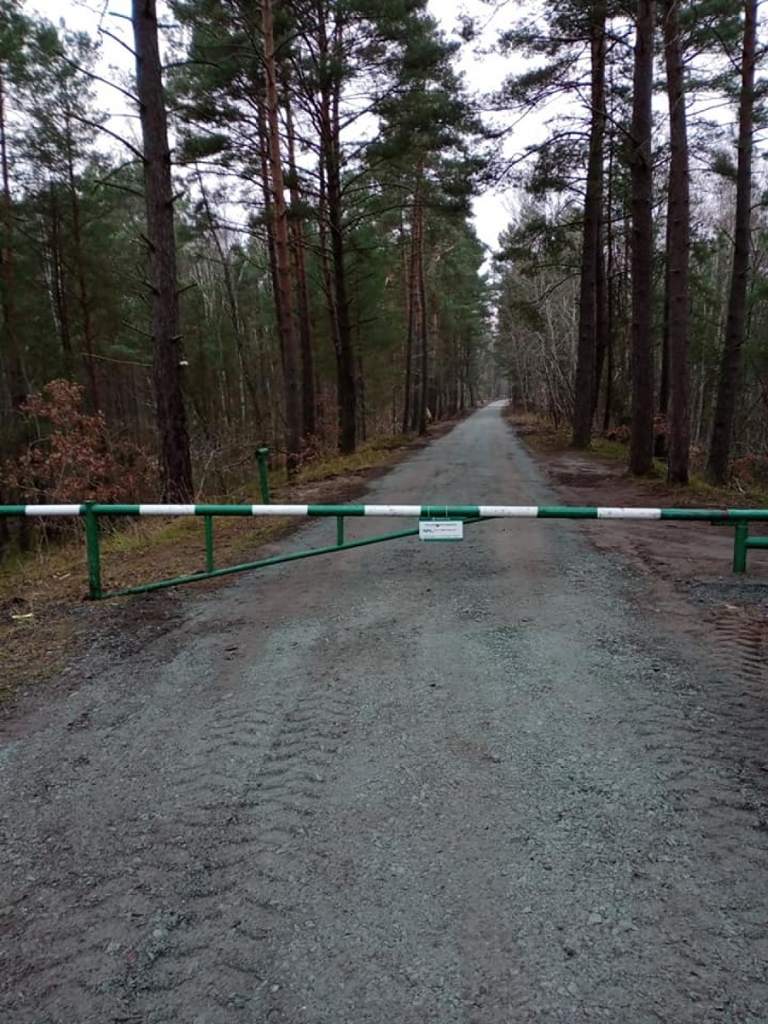 Droga leśna w Mikoszewie została odrestaurowana. Odnowiona trasa do wejścia na plażę