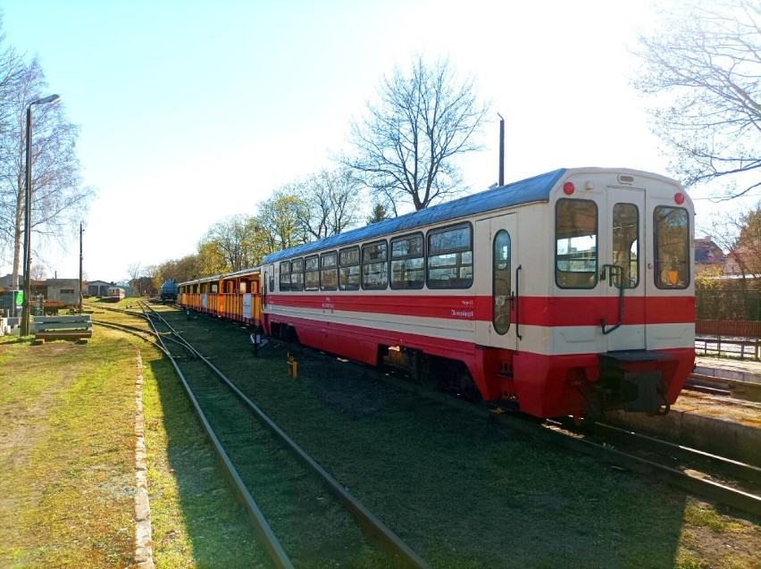 Żuławska Kolej Dojazdowa rozpocznie kursy w majówkę. Kursy na trasie Prawy Brzeg Wisły - Sztutowo