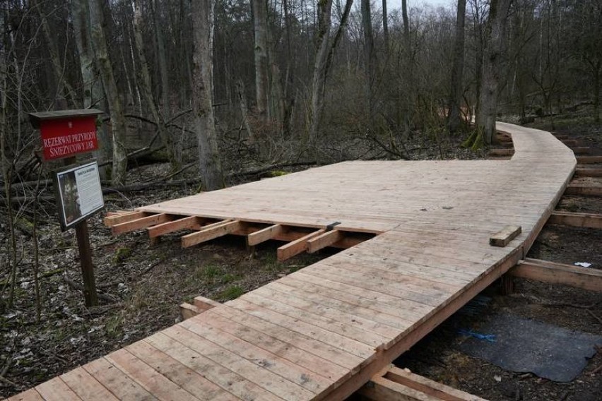 Na początku marca mają pojawić się pierwsze śnieżyce