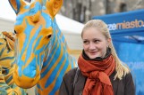 W Poznaniu na Świętym Marcinie fotografowaliście się z naszą Zebrą [ZDJĘCIA]