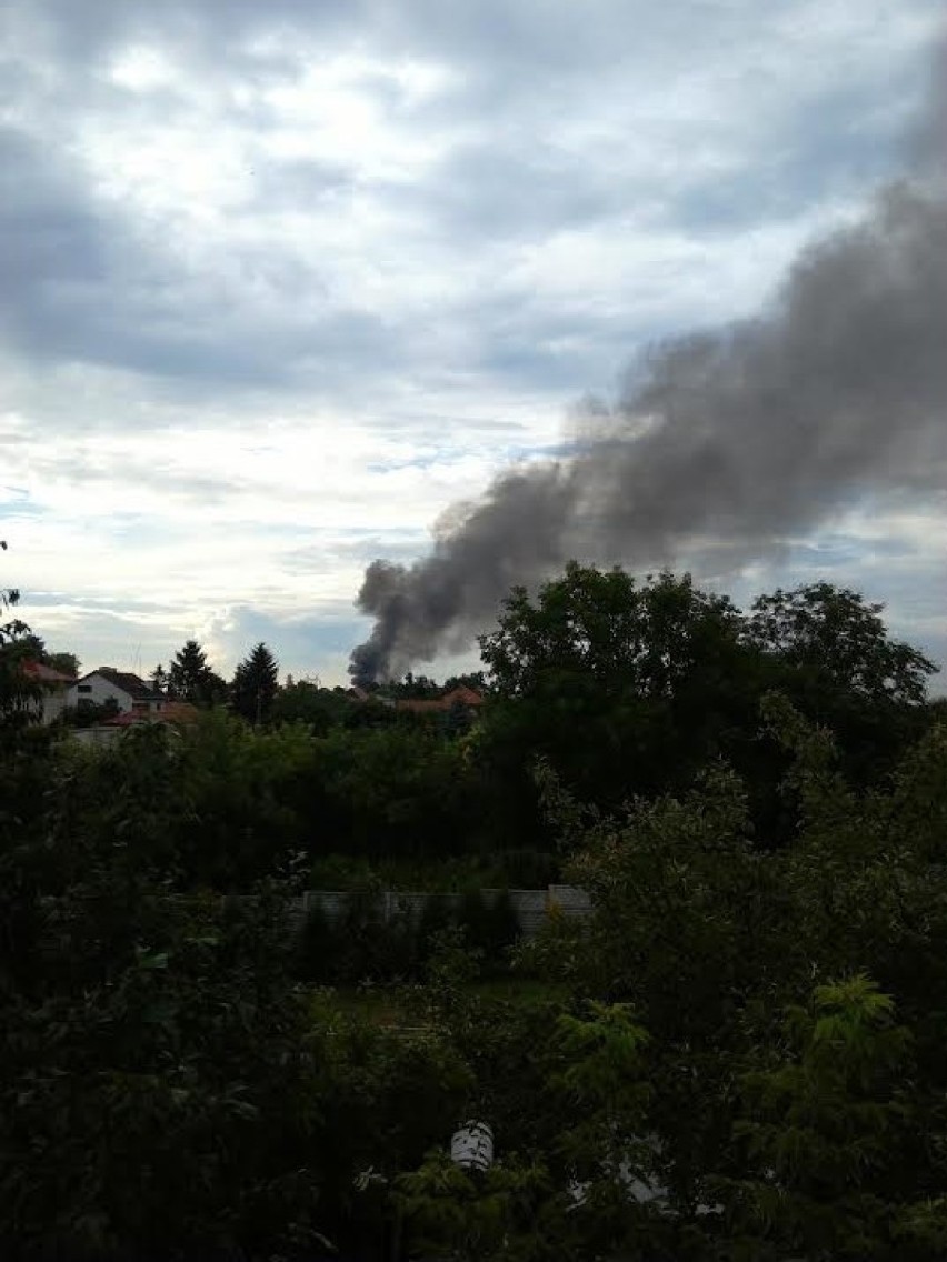 Pożar w sąsiedztwie włostowickiego cmentarza