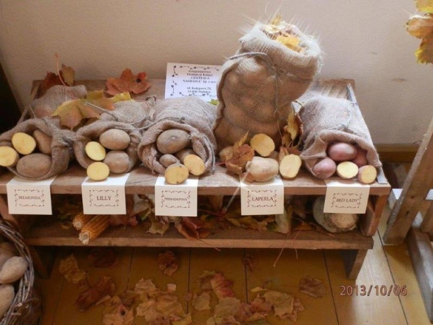 Smaki jesieni w Olsztynku. Będzie m.in. kopanie ziemniaków...