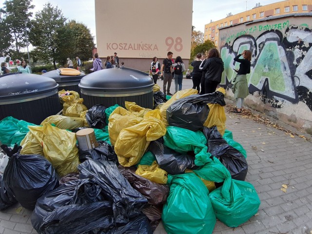 Szczecineccy harcerze porządkują teren między ulicami Koszalińską a Polną