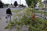 Opady i wiatr w powiecie sieradzkim. 32 interwencje straży, ale obyło się bez poważniejszych szkód