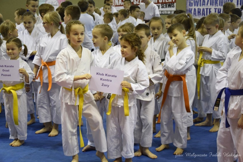 Gwiazdkowy Turniej Karate Tradycyjnego w Żarach [ZDJĘCIA,WIDEO]
