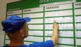 Setki osób na bezrobociu w powiecie oleśnickim. Mamy dane z Powiatowego Urzędu Pracy w Oleśnicy 