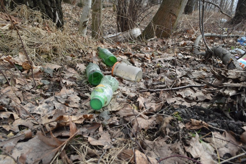 Dzikie wysypiska śmieci na Wilchwach