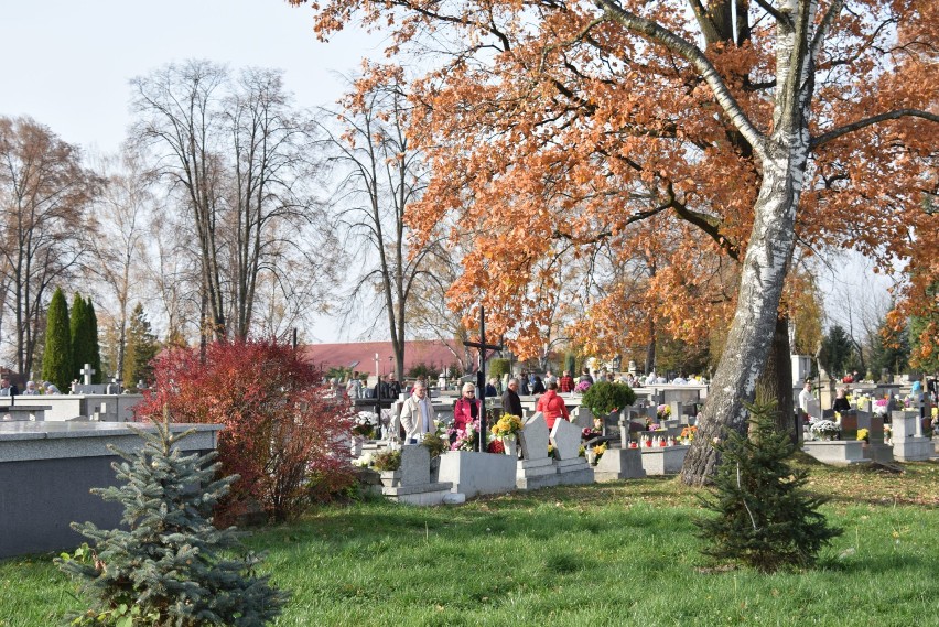 Dzień Wszystkich Świętych na cmentarzu komunalnym przy ul....