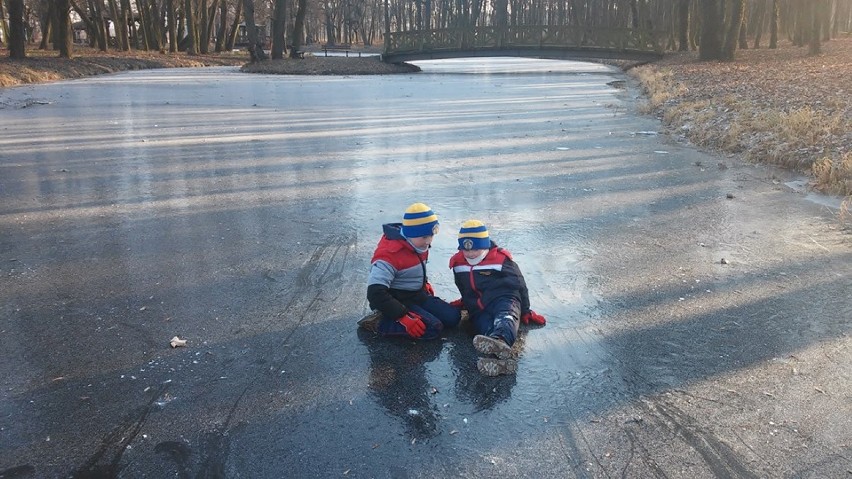 Zima w Pleszewie, Gołuchowie, nad Prosną w Gizałkach 2016