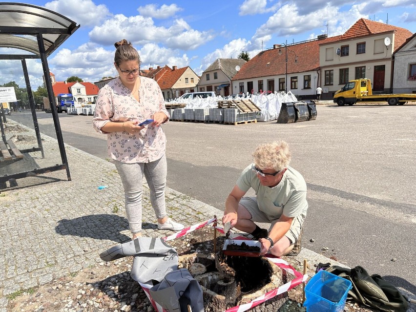 Pachnica to rzadki i chroniony owad, który odgrywa w...