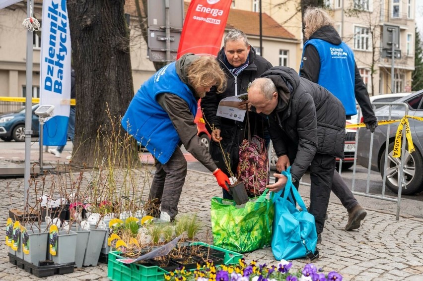 Akcja „Drzewko za surowce wtórne” w Sopocie. Mieszkańcy miasta kochają zieleń i o nią dbają. Troszczą sę również o środowisko