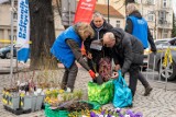 Akcja „Drzewko za surowce wtórne” w Sopocie
