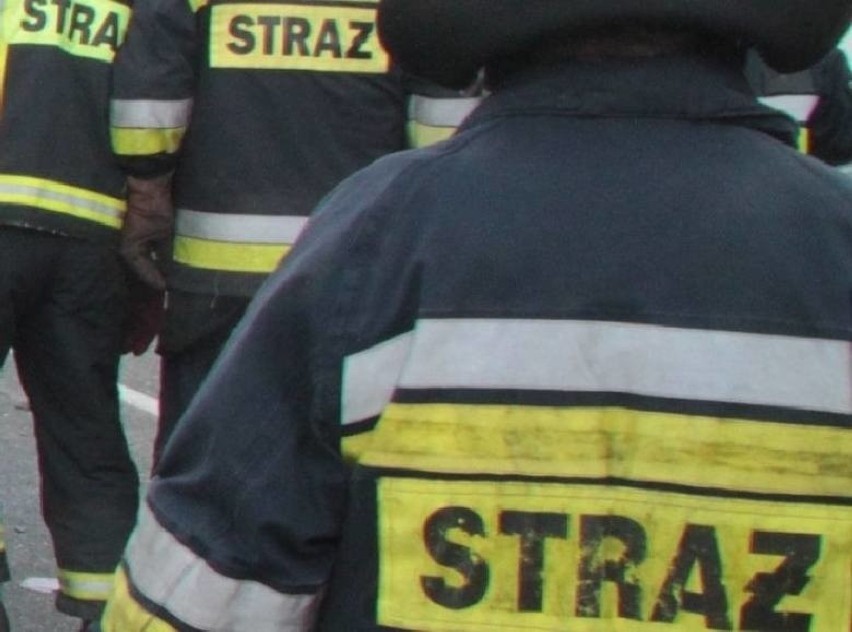 Strażacy gasili pożar w budynku Media Hub przy ul. Łąkowej w...