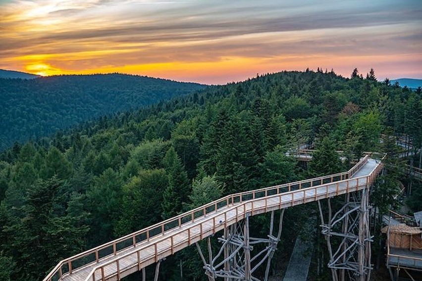 Krynicka ścieżka w koronach drzew ma 1030 metrów....