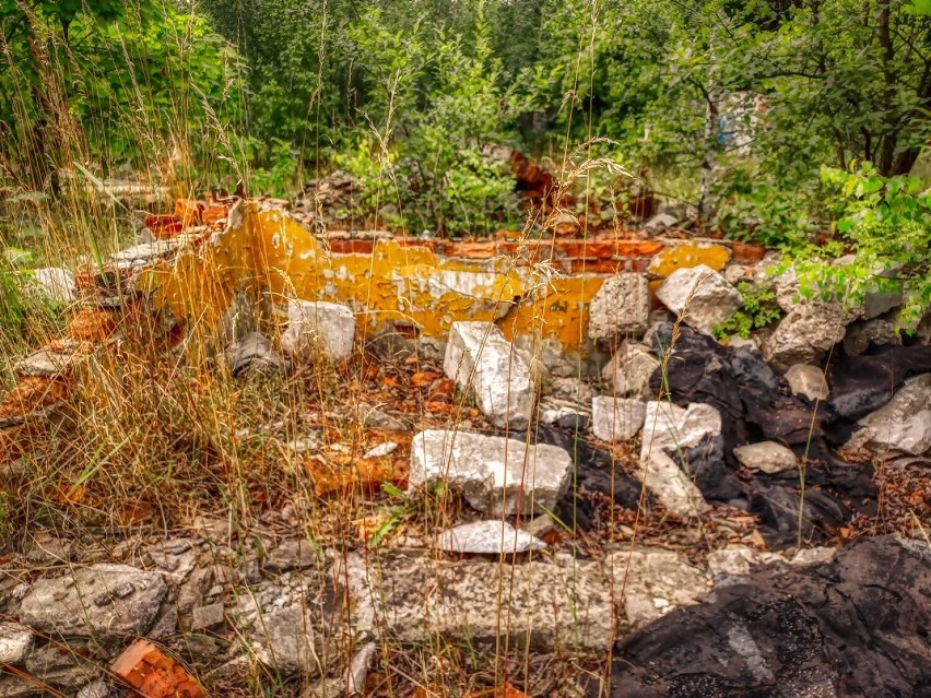 Wałbrzych: Groźne ruiny byłej fabryki domów na Piaskowej Górze. Omijajcie to miejsce (ZDJĘCIA)