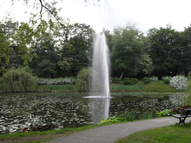 Park Róż w Chorzowie jest ulubionym miejscem na spacery z psami i zabawę z dziećmi.