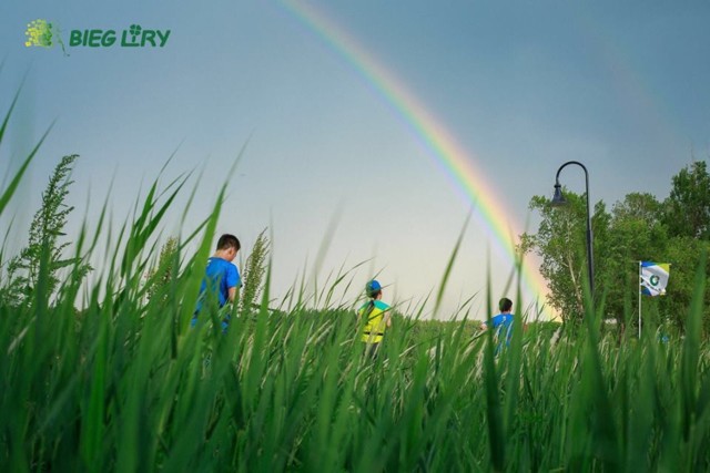 Bieg z Lirą w Krzywiniu odbędzie się 1 września