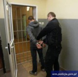 Policjanci zatrzymali złodziei, którzy ukradli 400 sztuk trzody chlewnej