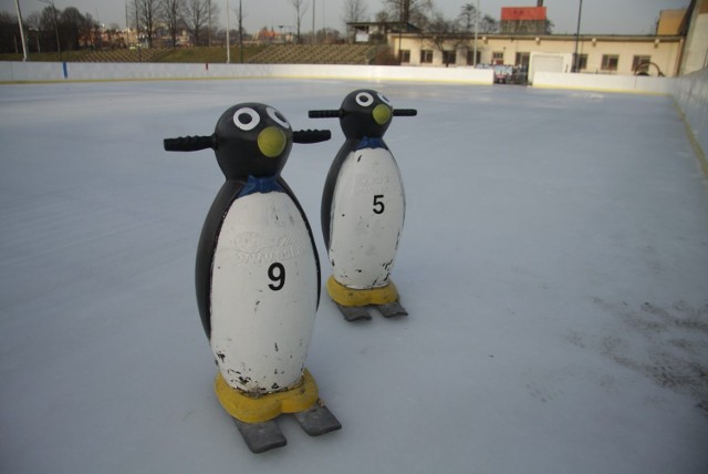 5 zł kosztuje wypożyczenie pingwina ułatwiającego naukę jazdy na łyżwach. Icemania w tym roku zmieniła lokalizację. Przeniosła się z al. Zygmuntowskich na al. Piłsudskiego.